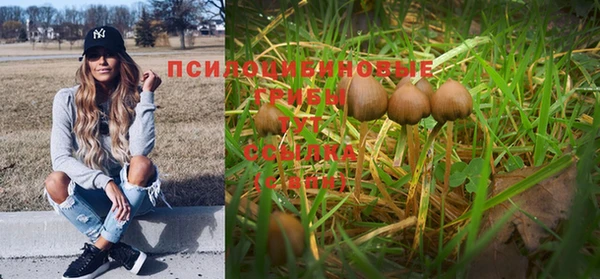прущая мука Зеленокумск